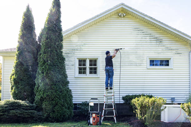 Best Roof Washing  in South Greeley, WY